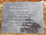image of grave number 596382